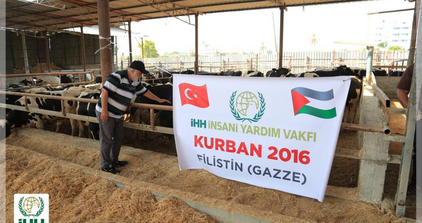 (IHH) التركية ستوزع لحوم أضاحي على 9 آلاف أسرة فقيرة بغزة