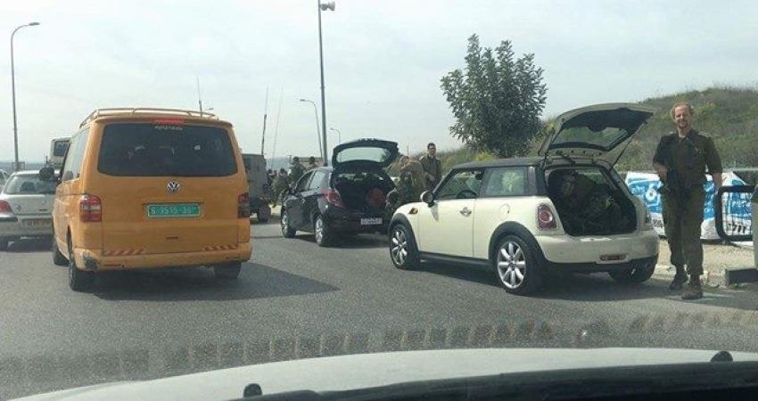 17555202_1583253458370504_1740829808_n