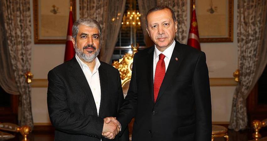 13510809_1433238013385281_5648933102743487288_n