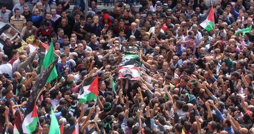 version4_35334535666