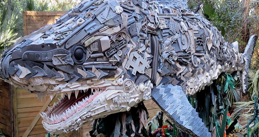 washed-ashore-shark-1