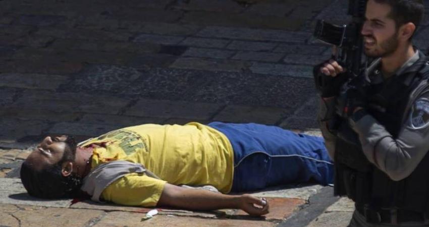 الشهيد سعيد العمرو