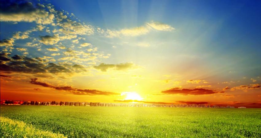 spring-sun-2560x1600-wallpaper