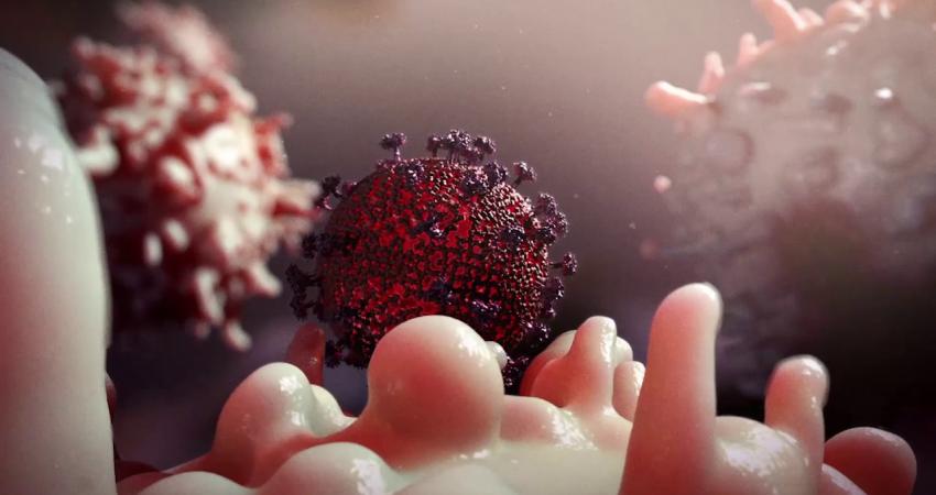 121-142656-causes-symptoms-immunodeficiency-methods-treatment-3