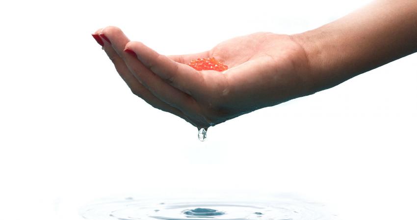 hand-with-salmon-eggs-digital-montage-by-ABT