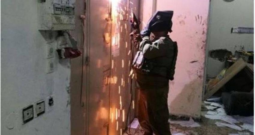 15590434_263049274112016_7986203637637043416_n