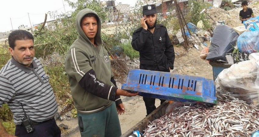 بلدية-النصيرات2_