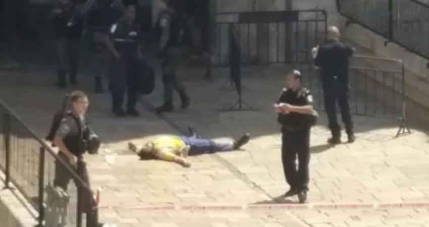 14369871_1550704498305298_110413301931169507_n