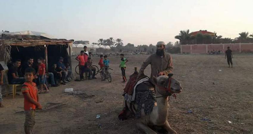 رياضة الخيل والهجن من تراث بلدة الزوايدة