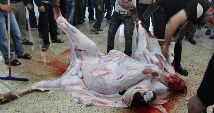 مسلخ النصيرات