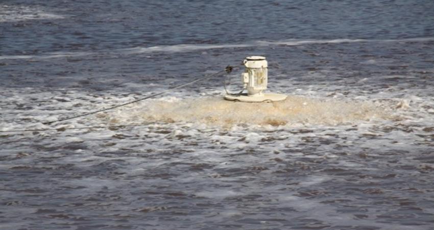 بركة مياه عادمة