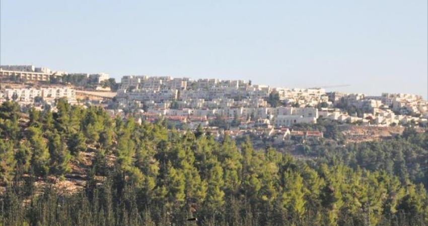 عمونا