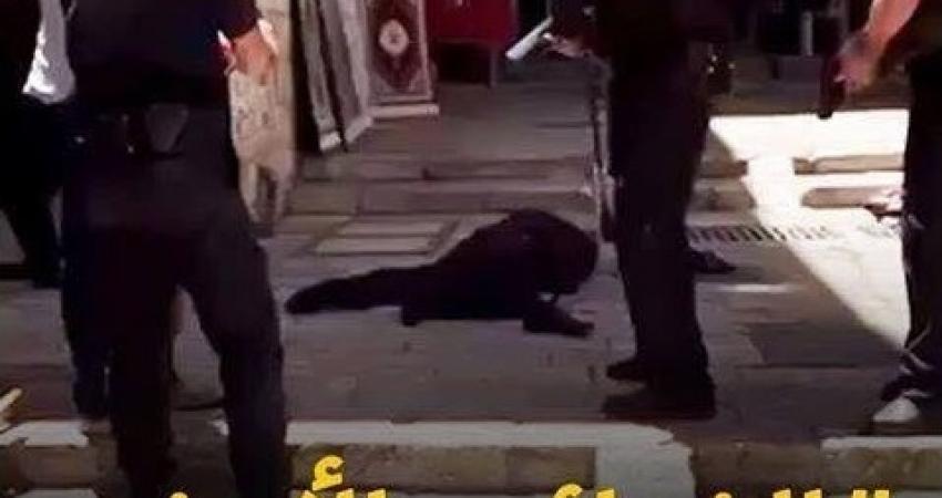 الفدائي الأردني