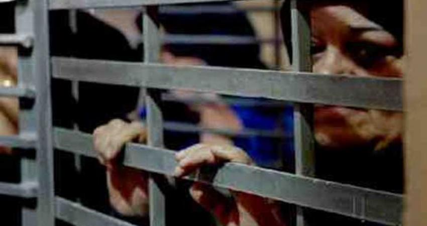 0b0550d60603362926b7d6f3f9ba19a0