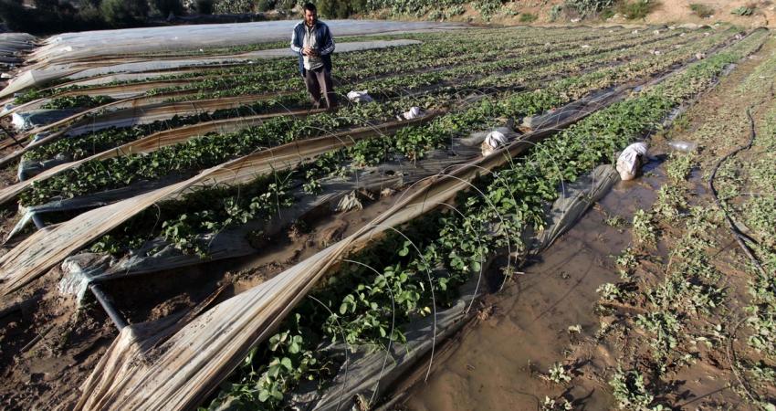 43dfb76b02f2a07593957d41823e615b