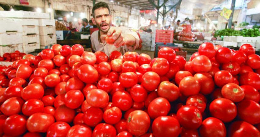 الكشف أسباب غلاء البندورة بغزة