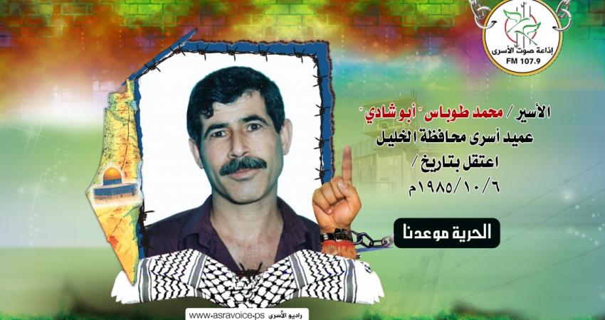 الطوس