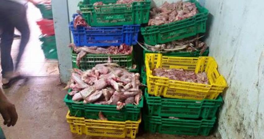 13599796_1449332661775816_459522294750329984_n