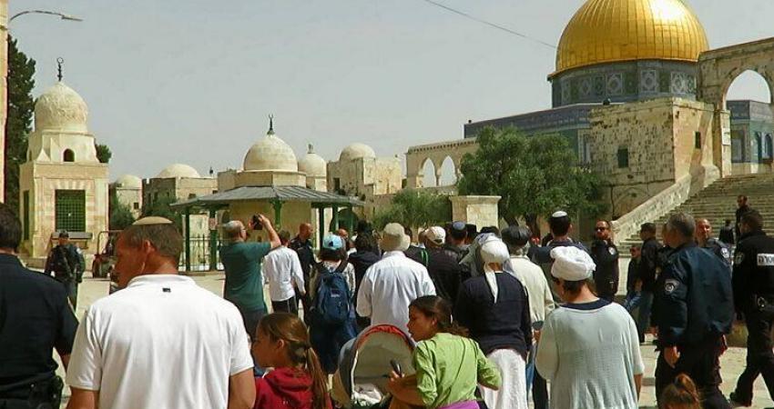 18010132_807154489443218_2392540840978670994_n