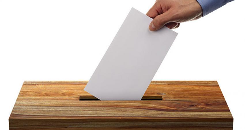 طولكرم.. القضاء على المقاس