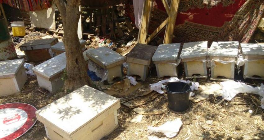 20228589_856839577808410_8125868252755681647_n