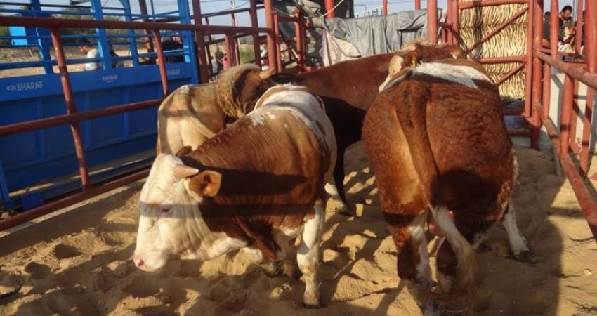 8147fff04595da5f0e7daadff84d3ac2