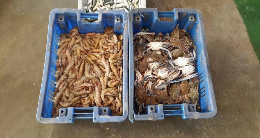 14522571_933210193489532_662854203_o