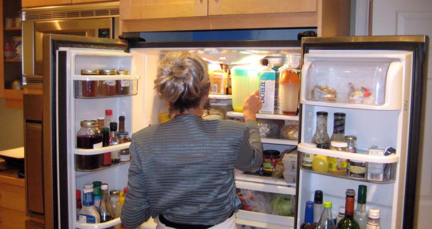 13.-Refrigerator-cleaner