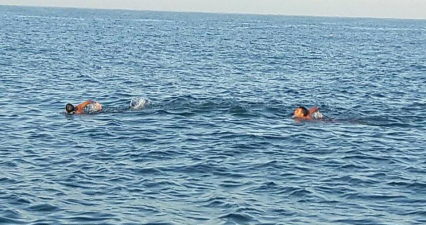 مسباقة سباحة