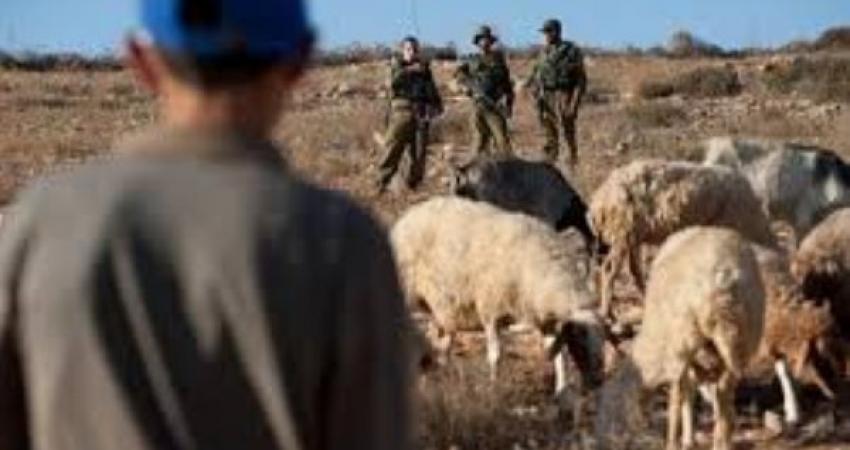 رعاة أغنام بيطا