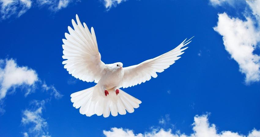 peace_wallpaper_3ebdf_1