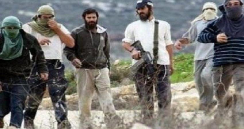 مستوطنون يعتدون بالضرب على شاب في الأغوار
