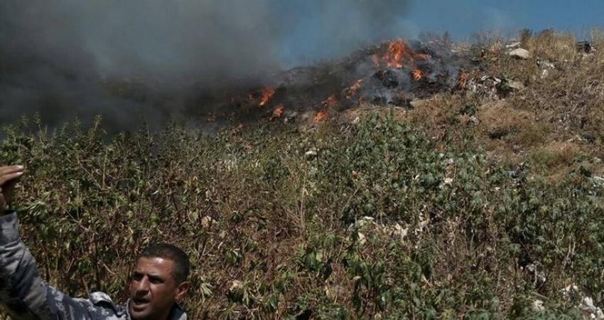 حريق أعشاب في قلقيلية