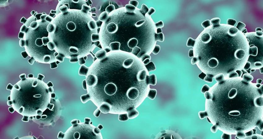 فيروس-كورونا-Copy