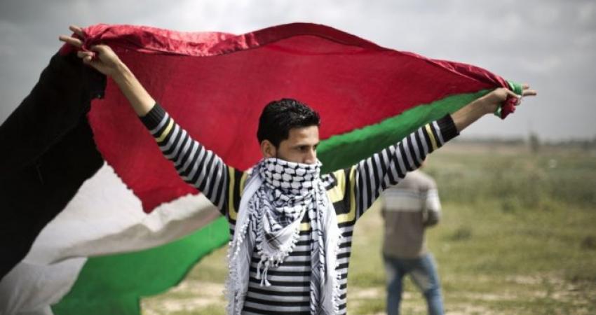 شباب فلسطين