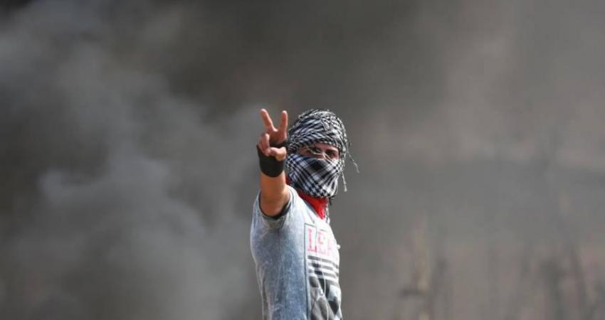 الأسبوع الرابع من مايو ... 11 عملية فدائية وارتقاء شهيدين