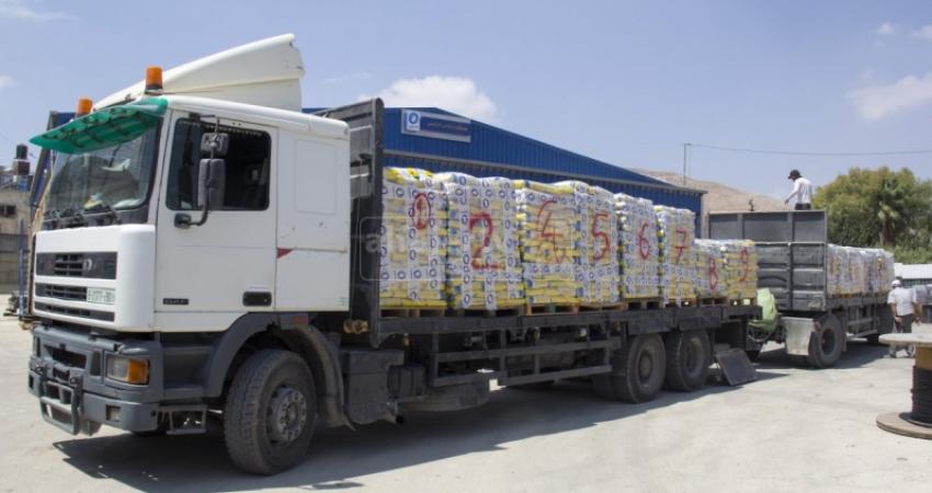 كرم أبو سالم