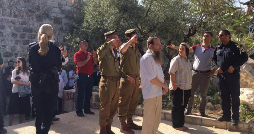 18222392_1897590460283365_4905835565503821668_n