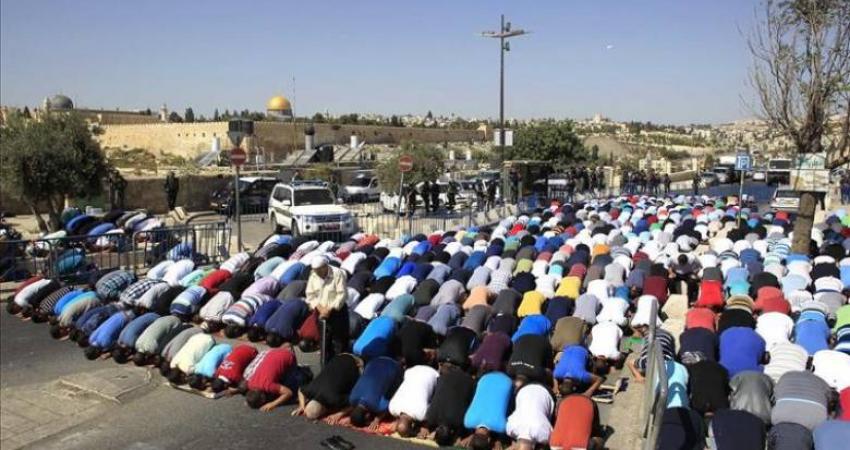 ea04ea834fa9dc0097d0180464f9f398