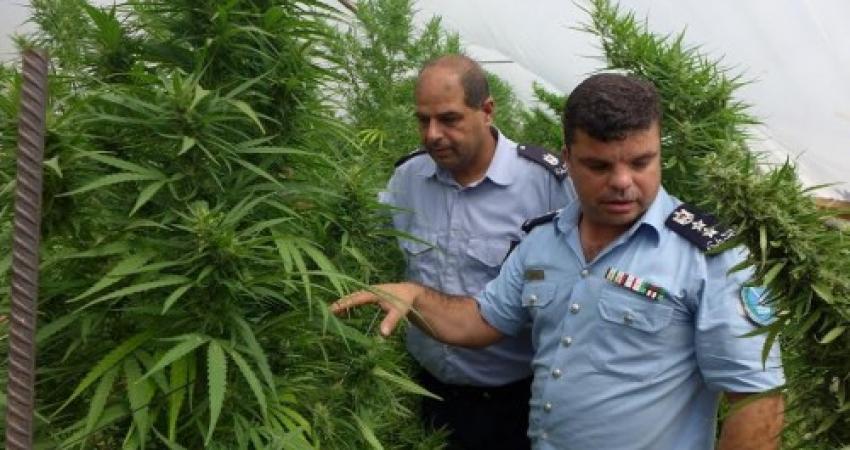 مخدرات