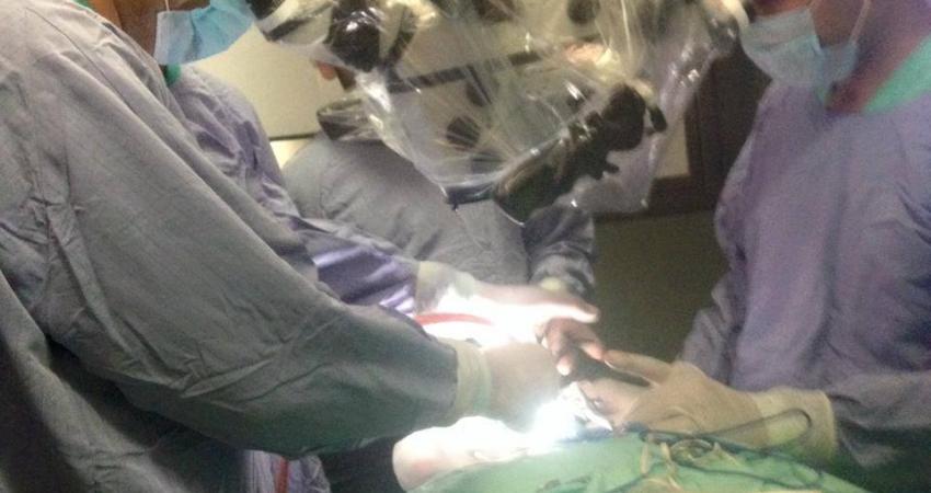 14046047_1059506104103664_1833564546197094596_n