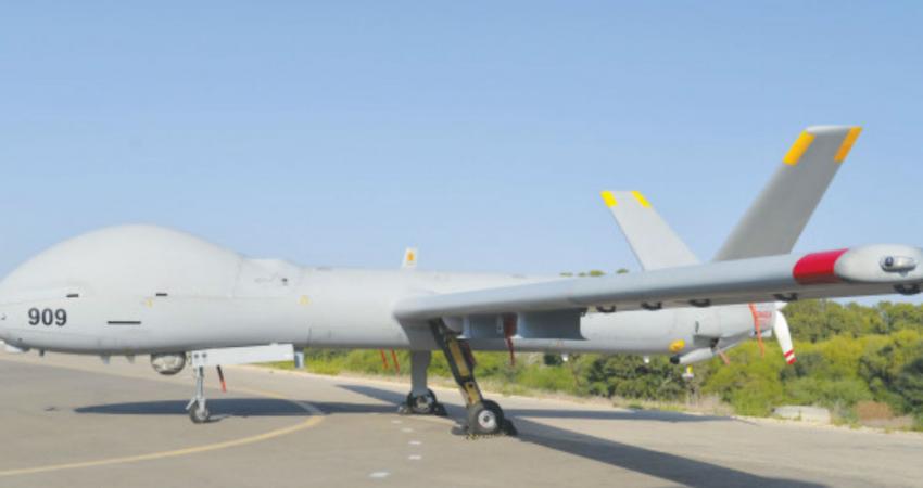 cat55866_img_cover722890865