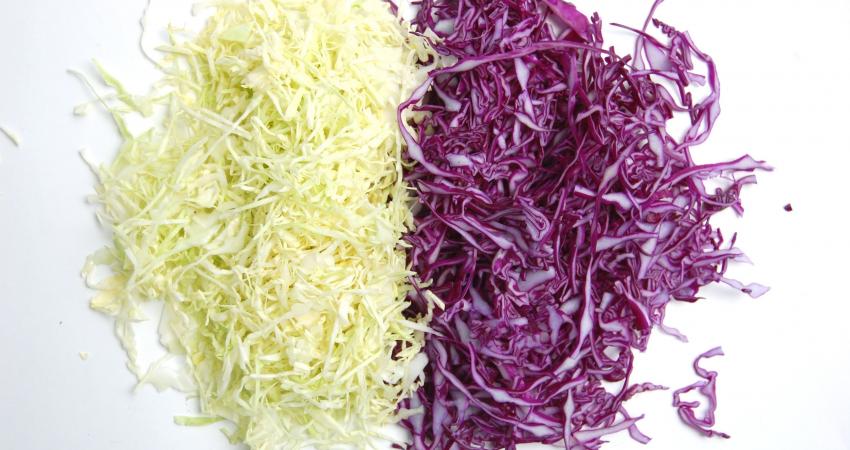 cabbage2