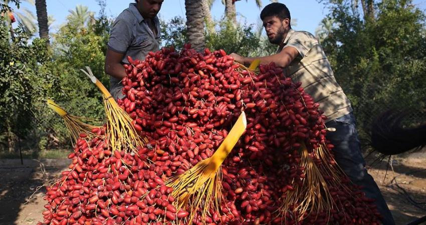 14642388_1584218338287247_8867509802477617788_n