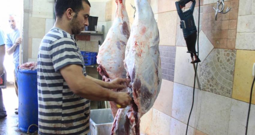 توزيع لحوم الأضاحي