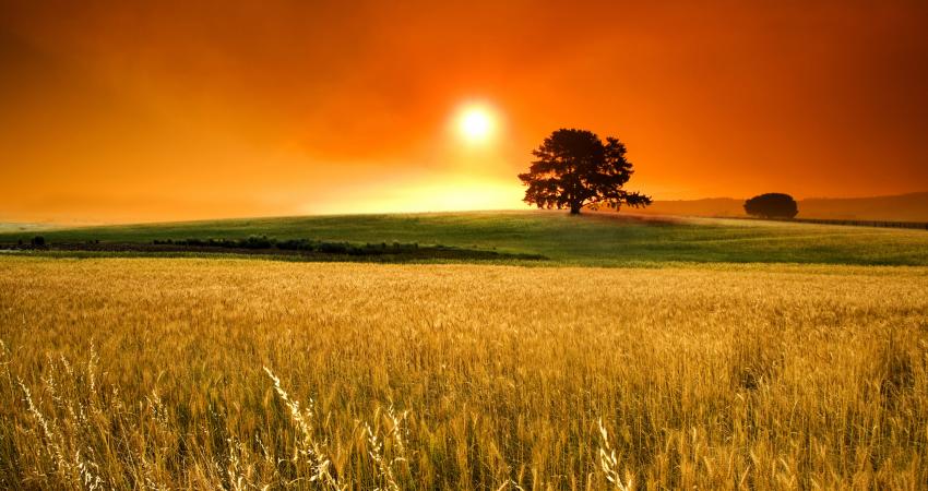 sunny_day-widescreen_wallpapers