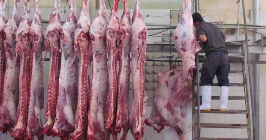 لجنة المناصرة تنهي الاستعدادات لإطلاق أضخم مشروع لتوزيع الأضاحي