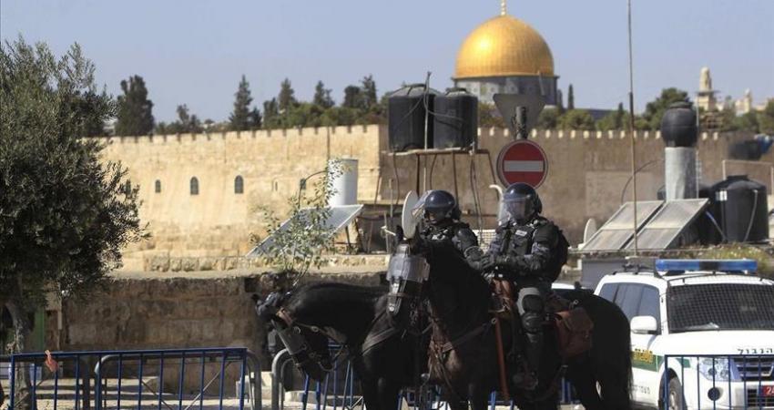 thumbs_b_c_f258bcb3c31c90c8096290e7c17d260f