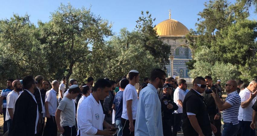 مستوطنون يقتحمون الأقصى