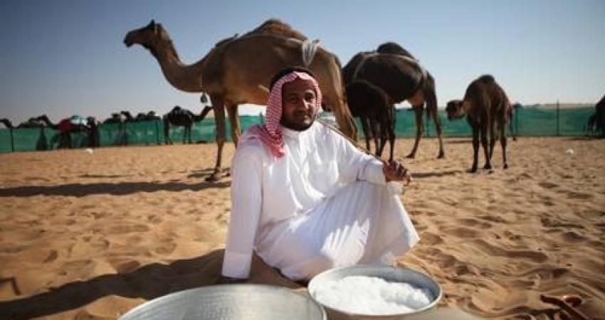 Camel-cup-milk